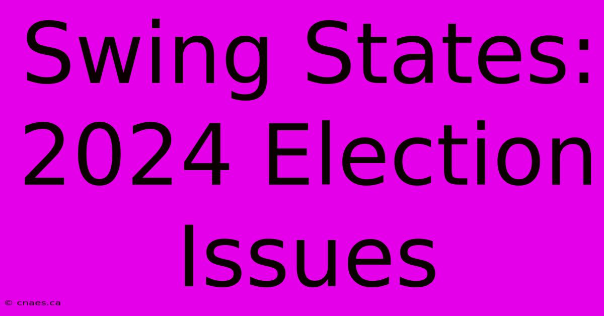 Swing States: 2024 Election Issues