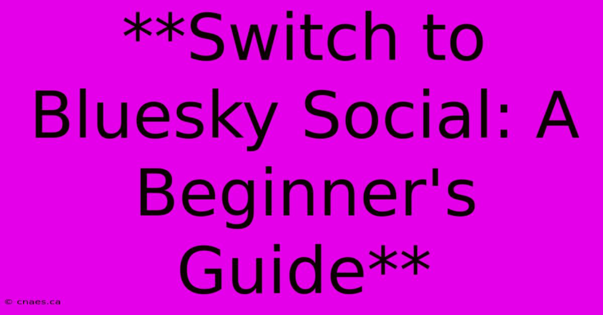 **Switch To Bluesky Social: A Beginner's Guide**