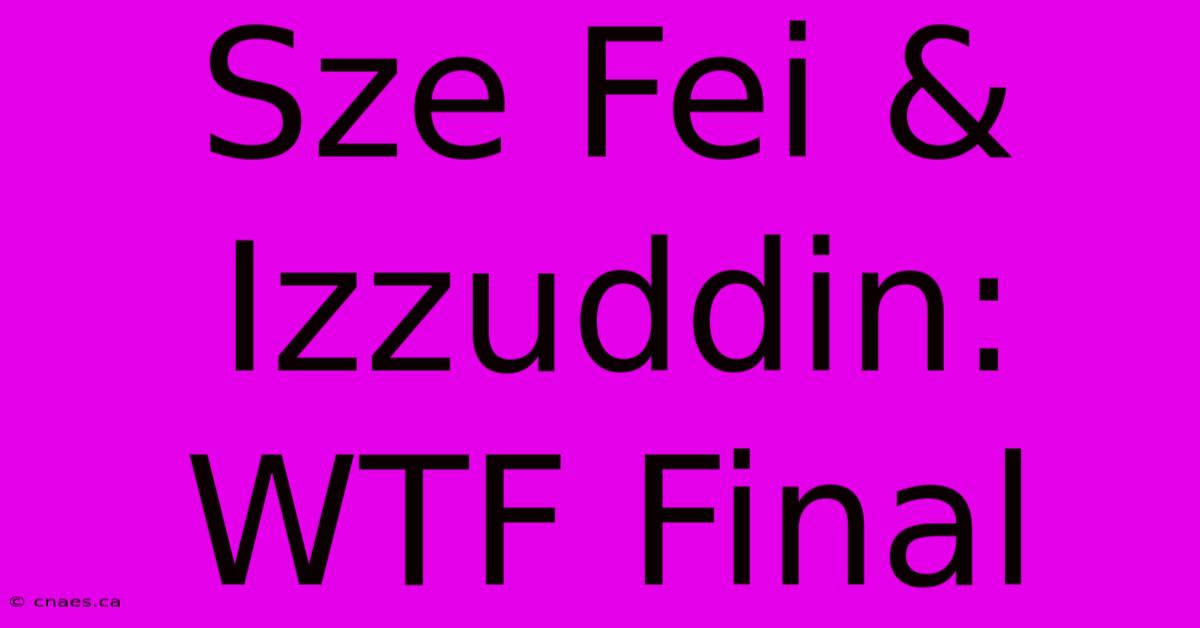 Sze Fei & Izzuddin: WTF Final