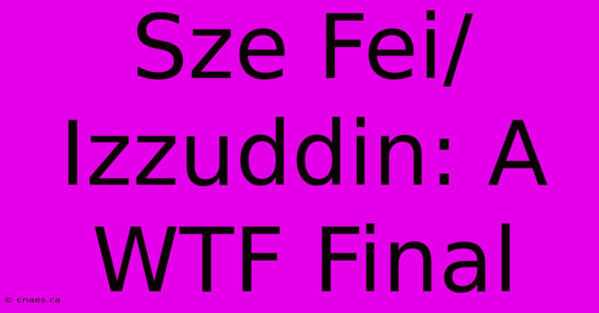 Sze Fei/Izzuddin: A WTF Final