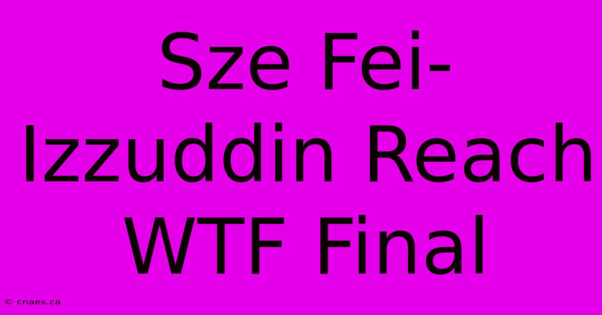 Sze Fei-Izzuddin Reach WTF Final