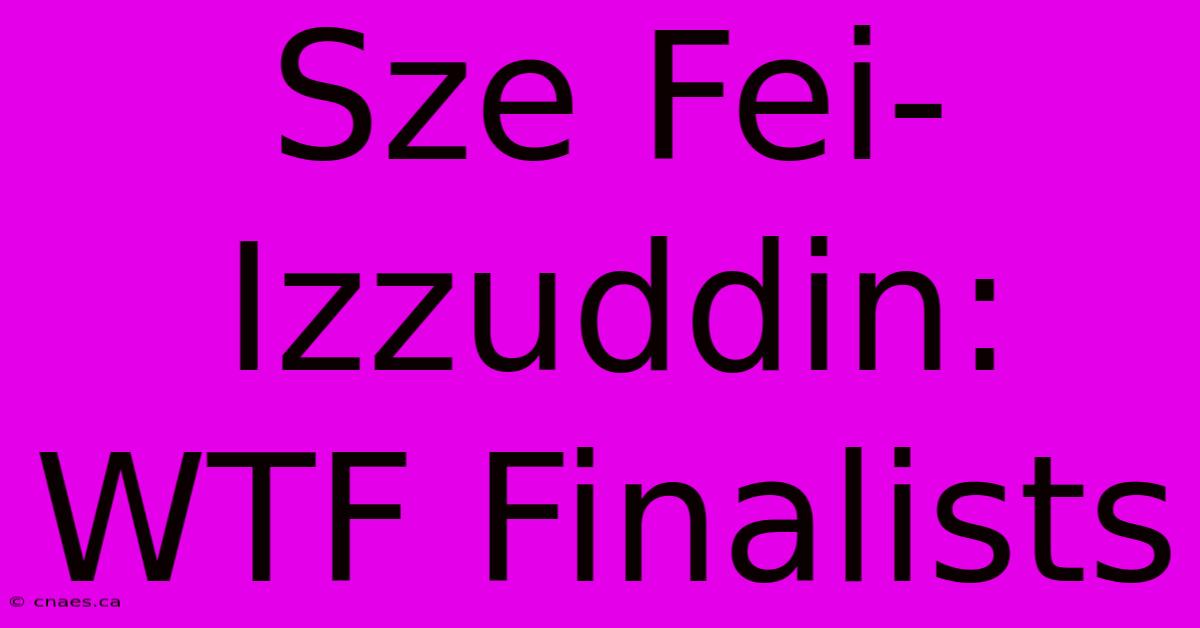 Sze Fei-Izzuddin: WTF Finalists