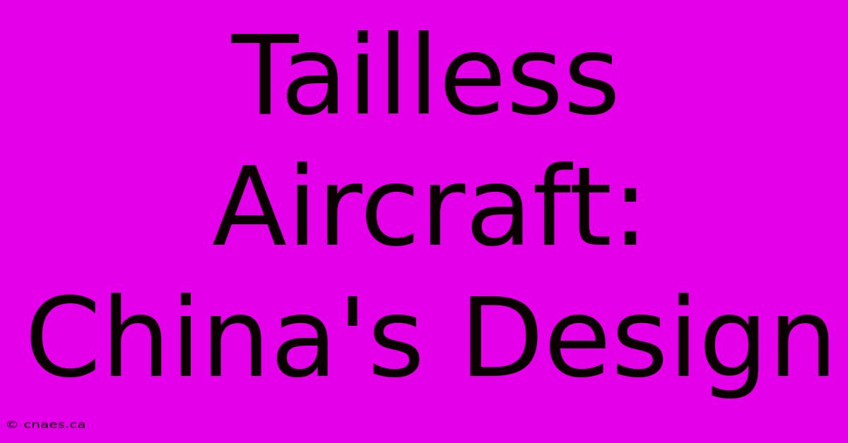 Tailless Aircraft: China's Design