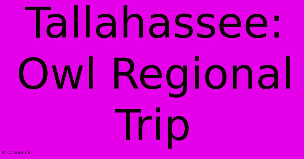 Tallahassee: Owl Regional Trip