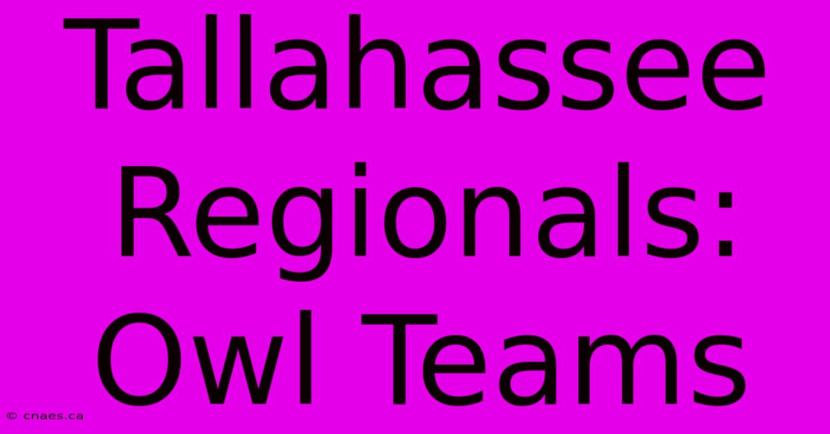 Tallahassee Regionals: Owl Teams