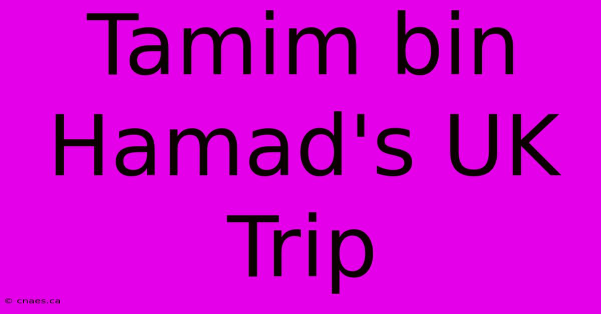 Tamim Bin Hamad's UK Trip