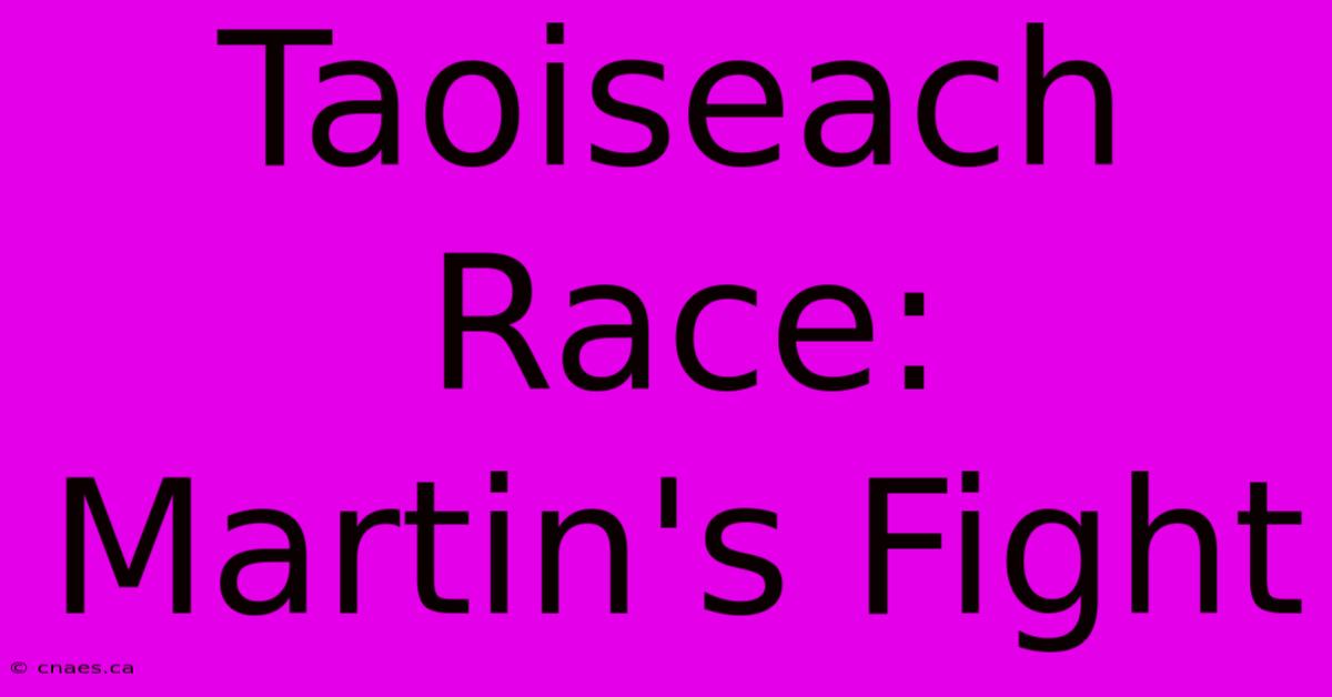 Taoiseach Race: Martin's Fight