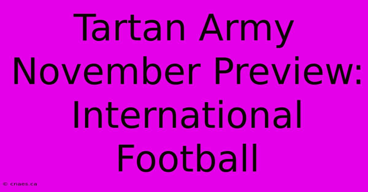 Tartan Army November Preview: International Football 