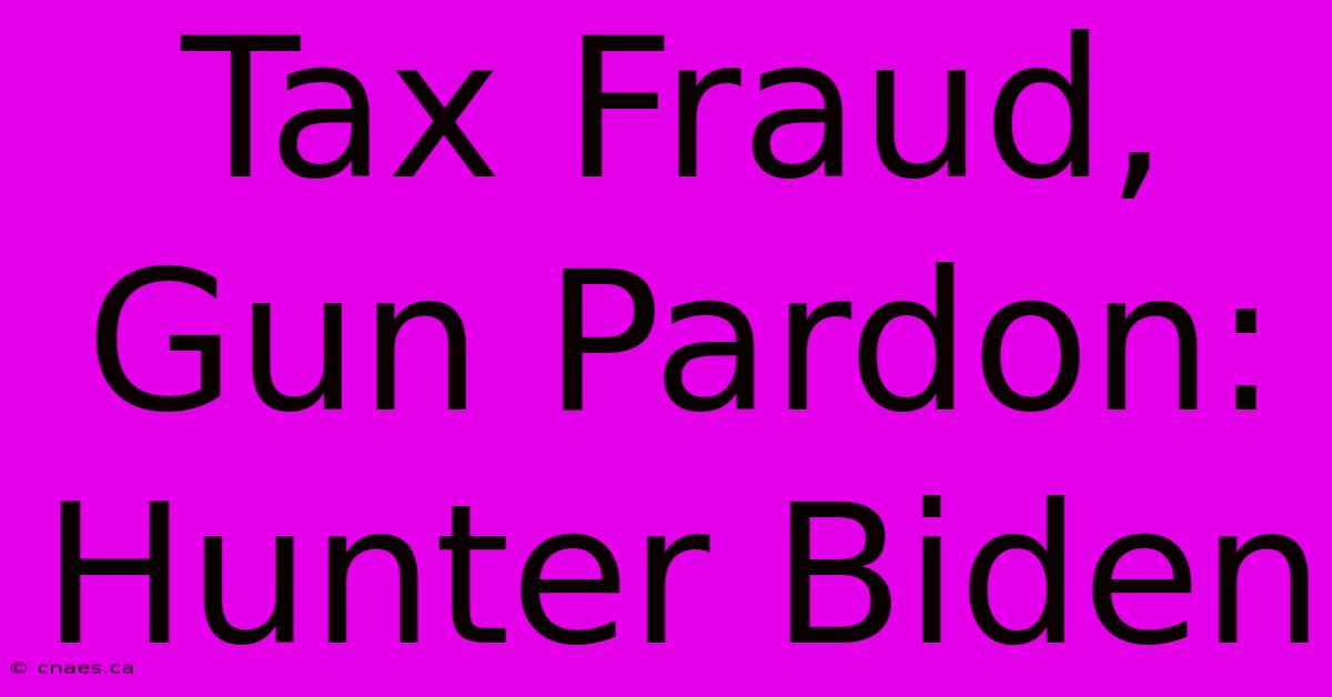 Tax Fraud, Gun Pardon: Hunter Biden