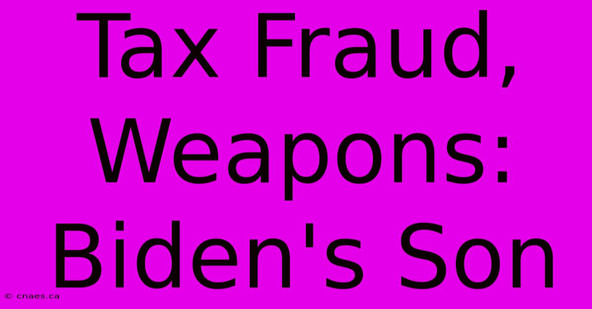 Tax Fraud, Weapons: Biden's Son