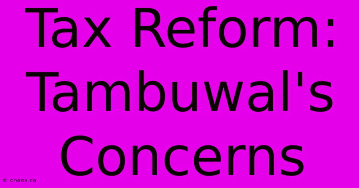 Tax Reform: Tambuwal's Concerns