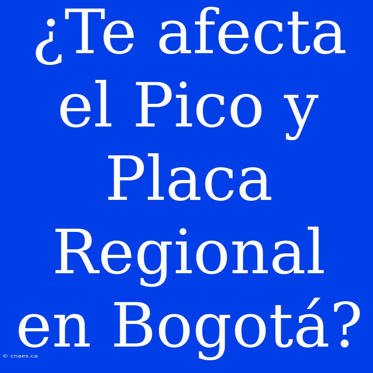 ¿Te Afecta El Pico Y Placa Regional En Bogotá?