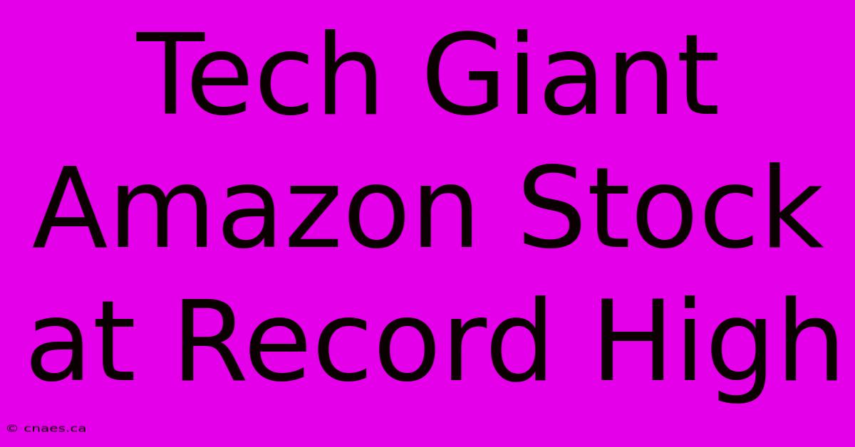 Tech Giant Amazon Stock At Record High