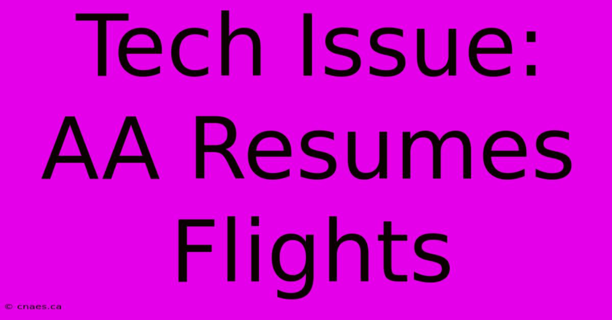 Tech Issue: AA Resumes Flights