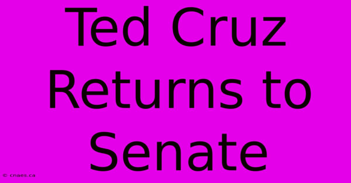 Ted Cruz Returns To Senate