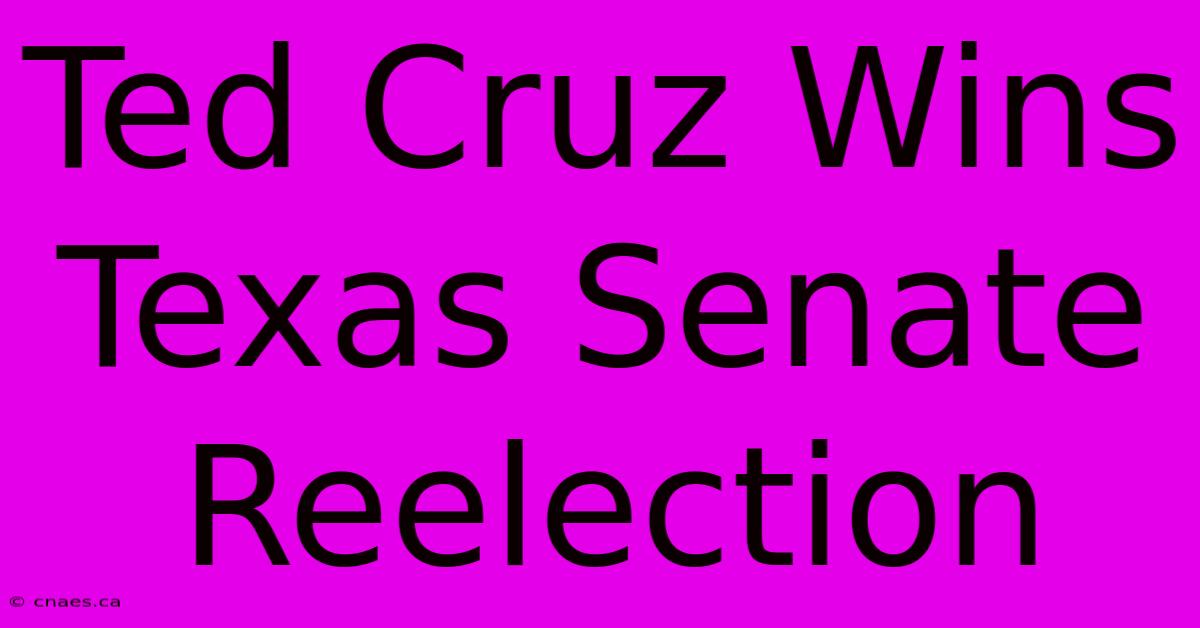 Ted Cruz Wins Texas Senate Reelection