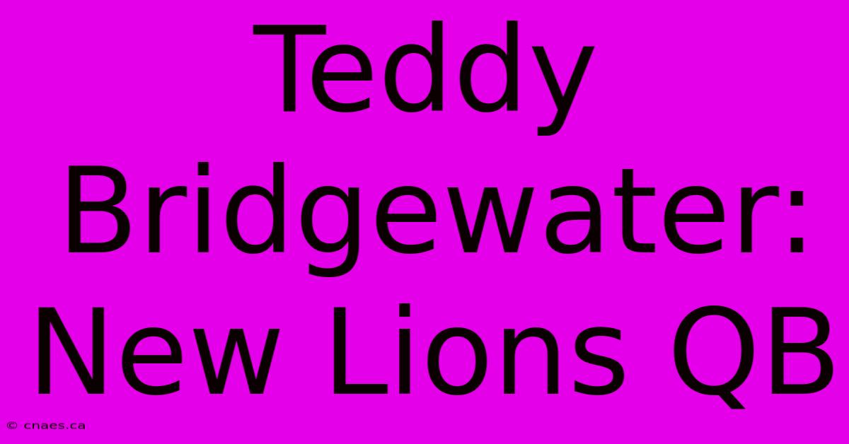 Teddy Bridgewater: New Lions QB