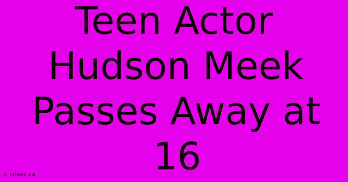 Teen Actor Hudson Meek Passes Away At 16