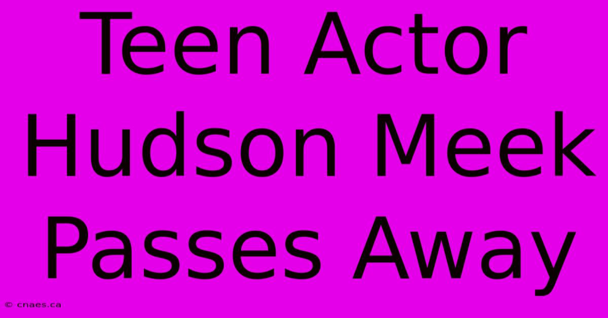 Teen Actor Hudson Meek Passes Away