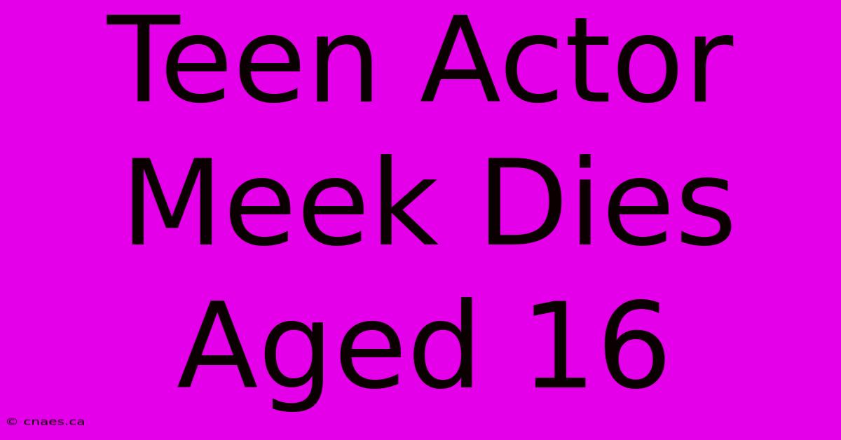 Teen Actor Meek Dies Aged 16