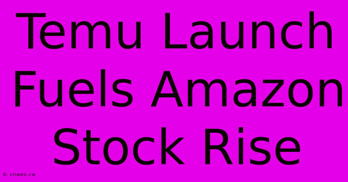 Temu Launch Fuels Amazon Stock Rise