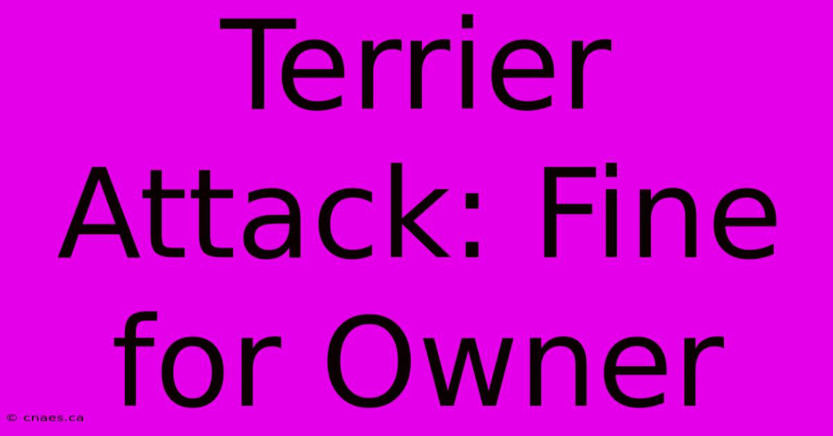 Terrier Attack: Fine For Owner