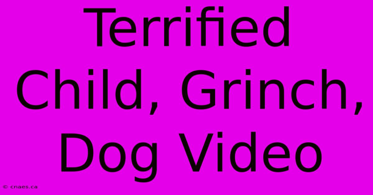 Terrified Child, Grinch, Dog Video