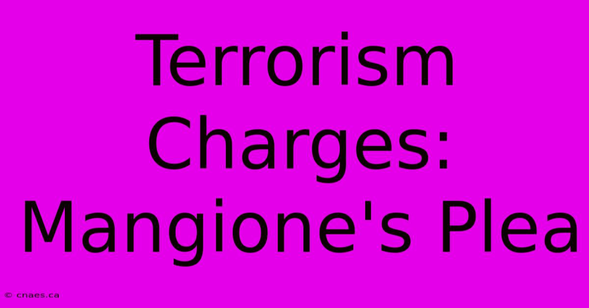 Terrorism Charges: Mangione's Plea