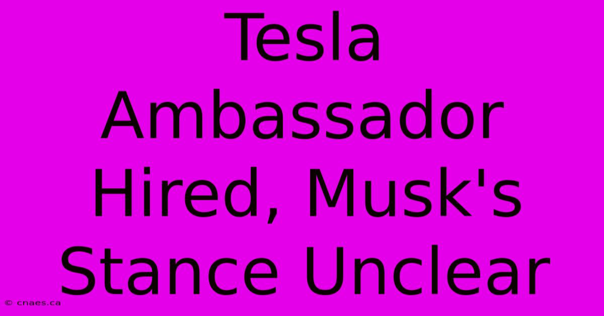 Tesla Ambassador Hired, Musk's Stance Unclear