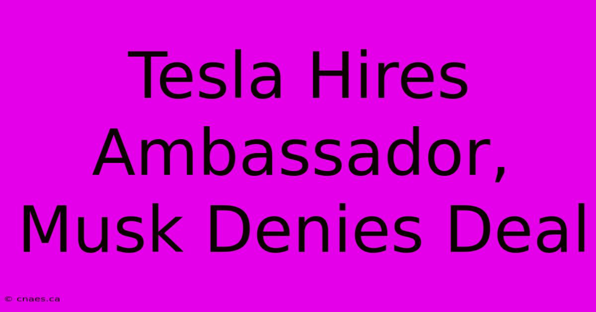 Tesla Hires Ambassador, Musk Denies Deal