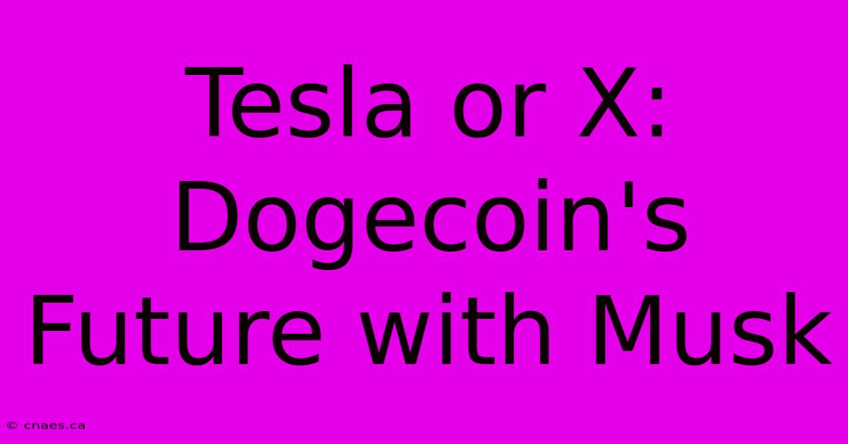 Tesla Or X: Dogecoin's Future With Musk