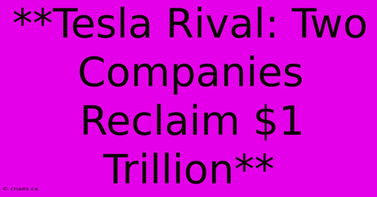 **Tesla Rival: Two Companies Reclaim $1 Trillion**