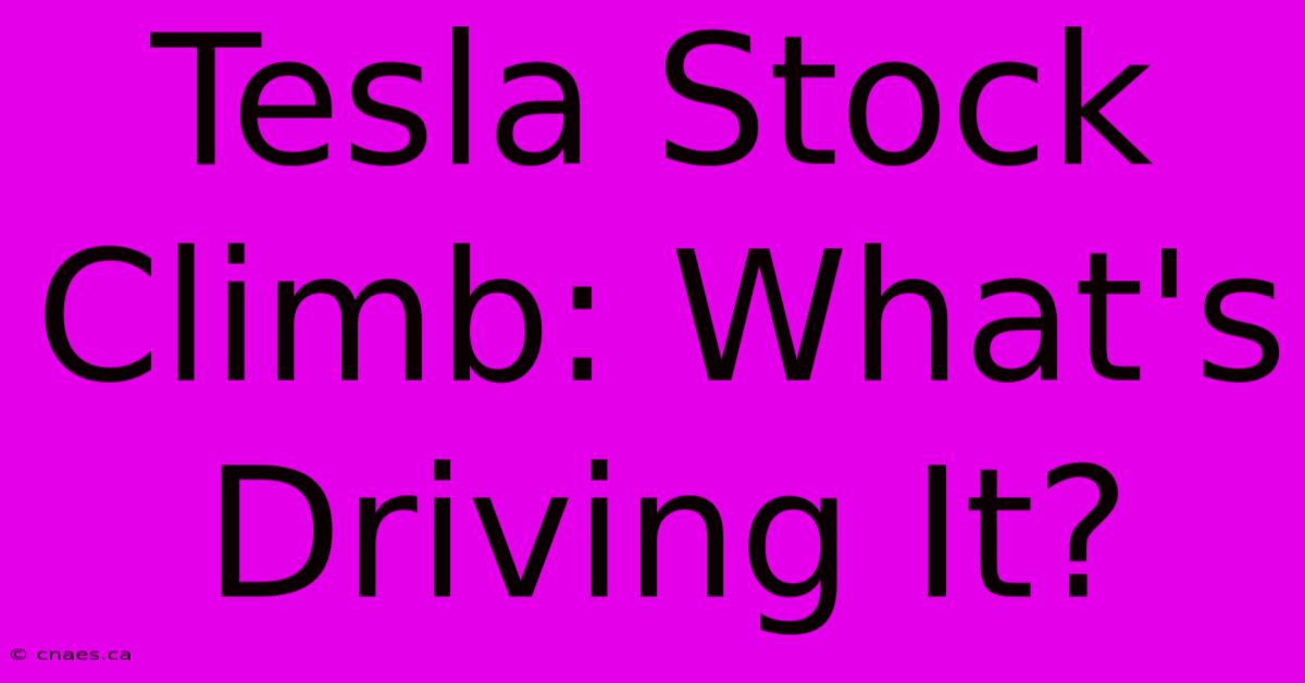 Tesla Stock Climb: What's Driving It?