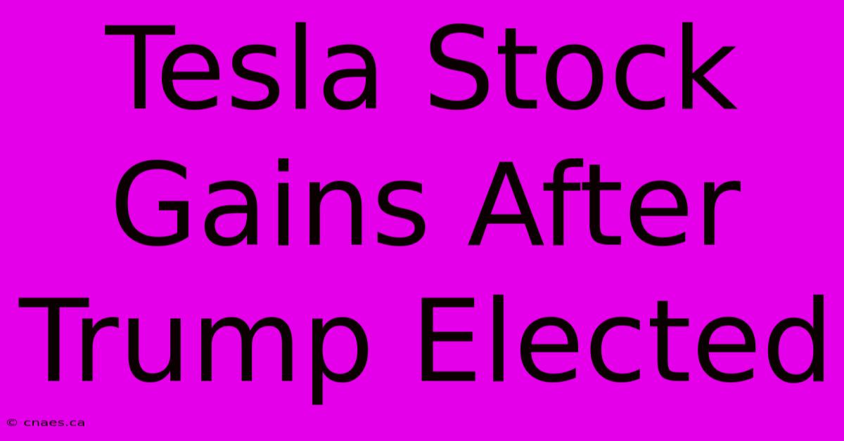 Tesla Stock Gains After Trump Elected 