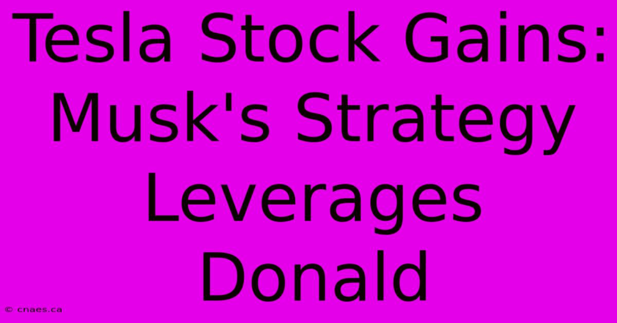 Tesla Stock Gains: Musk's Strategy Leverages Donald 