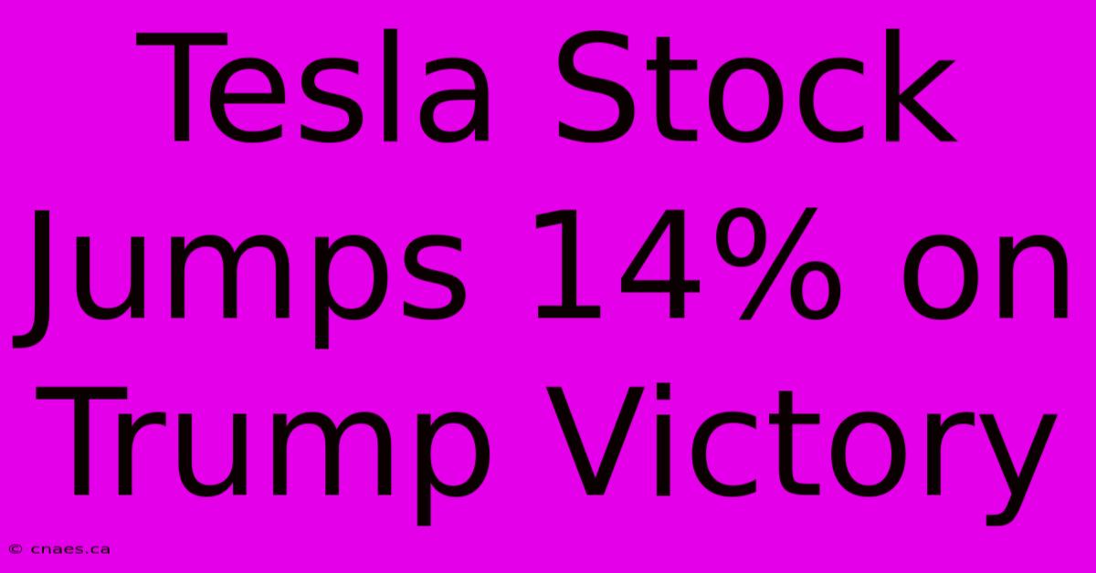 Tesla Stock Jumps 14% On Trump Victory 