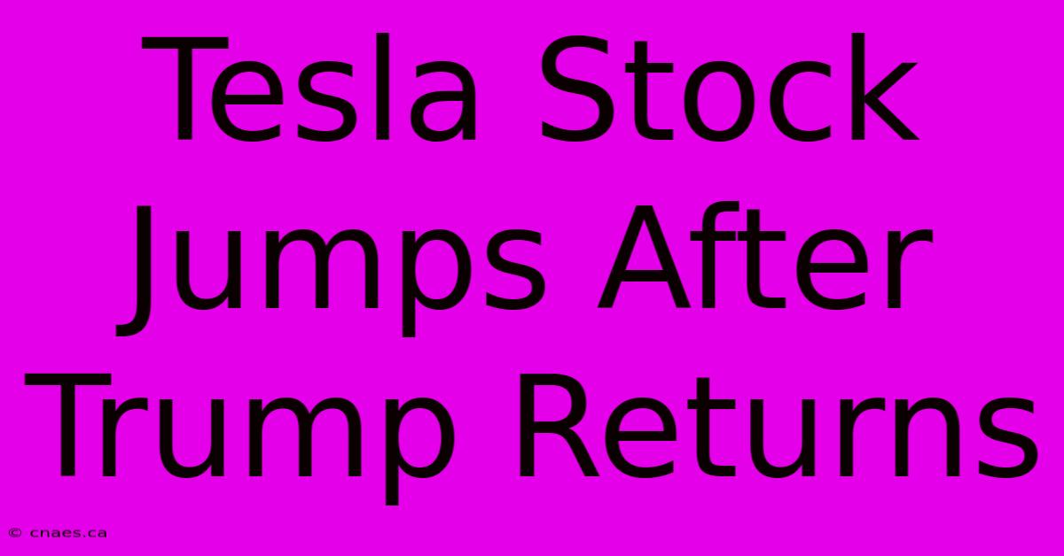 Tesla Stock Jumps After Trump Returns