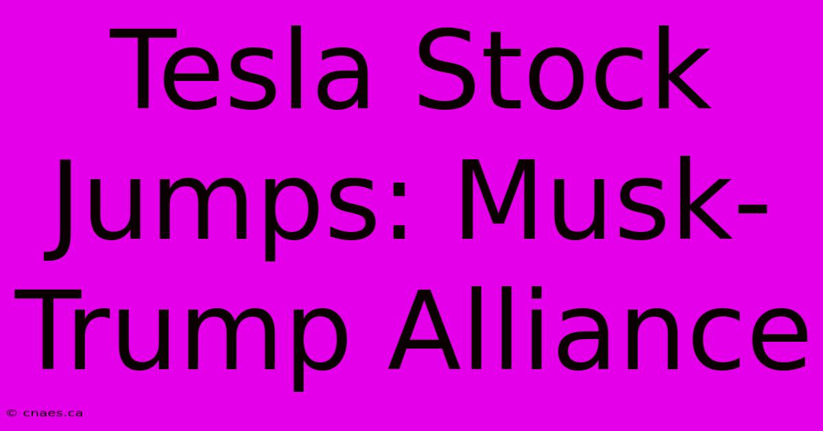 Tesla Stock Jumps: Musk-Trump Alliance