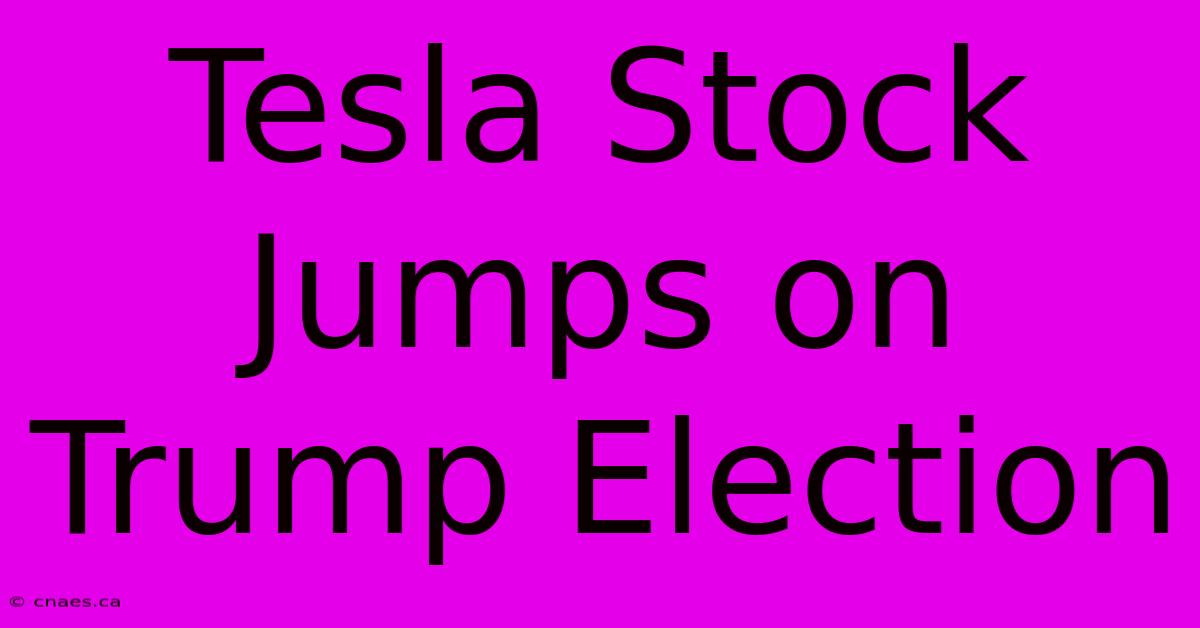 Tesla Stock Jumps On Trump Election