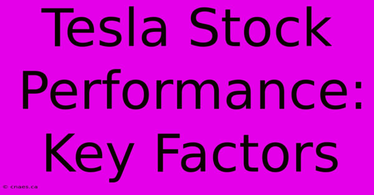 Tesla Stock Performance: Key Factors