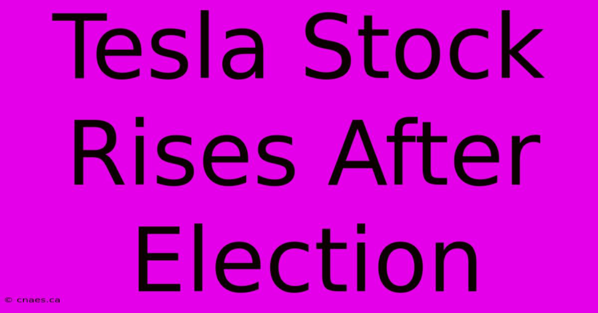 Tesla Stock Rises After Election