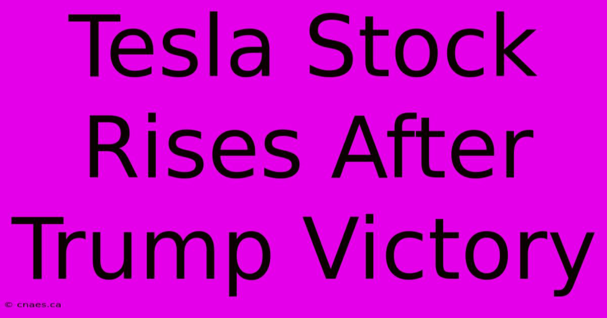 Tesla Stock Rises After Trump Victory