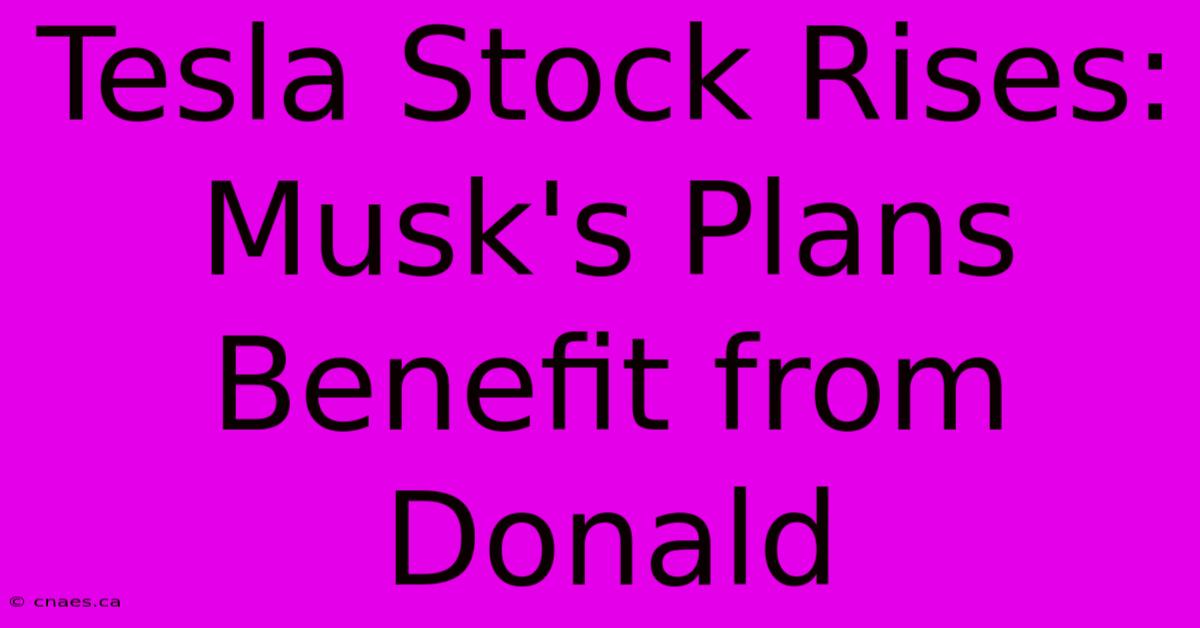 Tesla Stock Rises: Musk's Plans Benefit From Donald