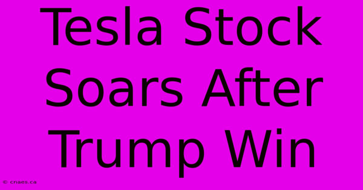 Tesla Stock Soars After Trump Win