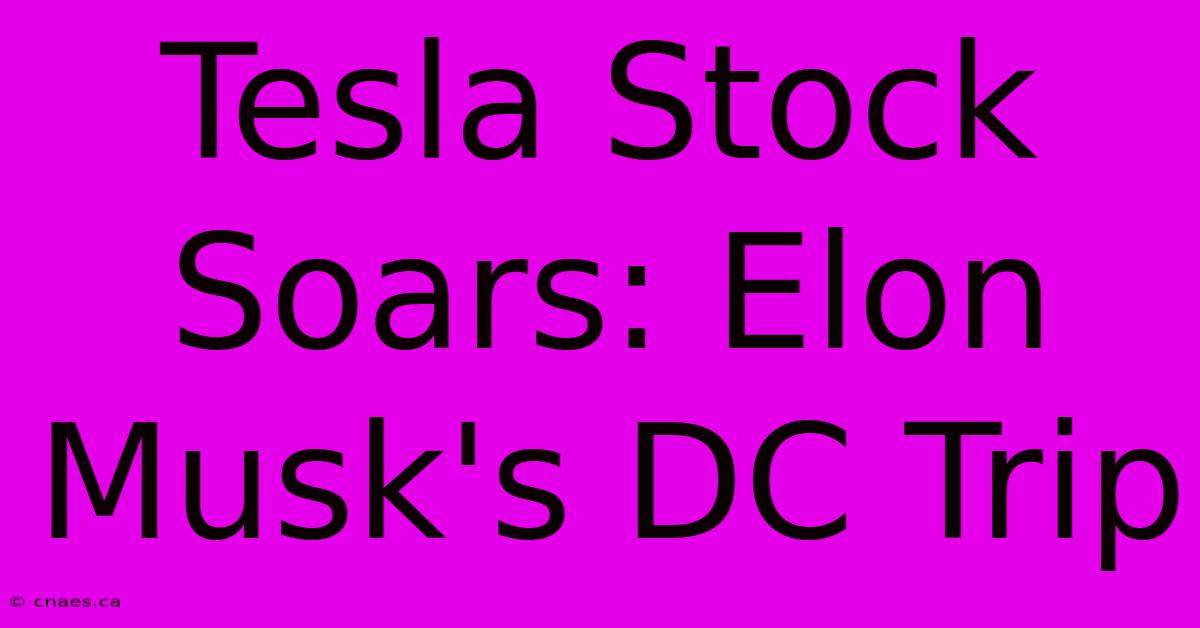 Tesla Stock Soars: Elon Musk's DC Trip