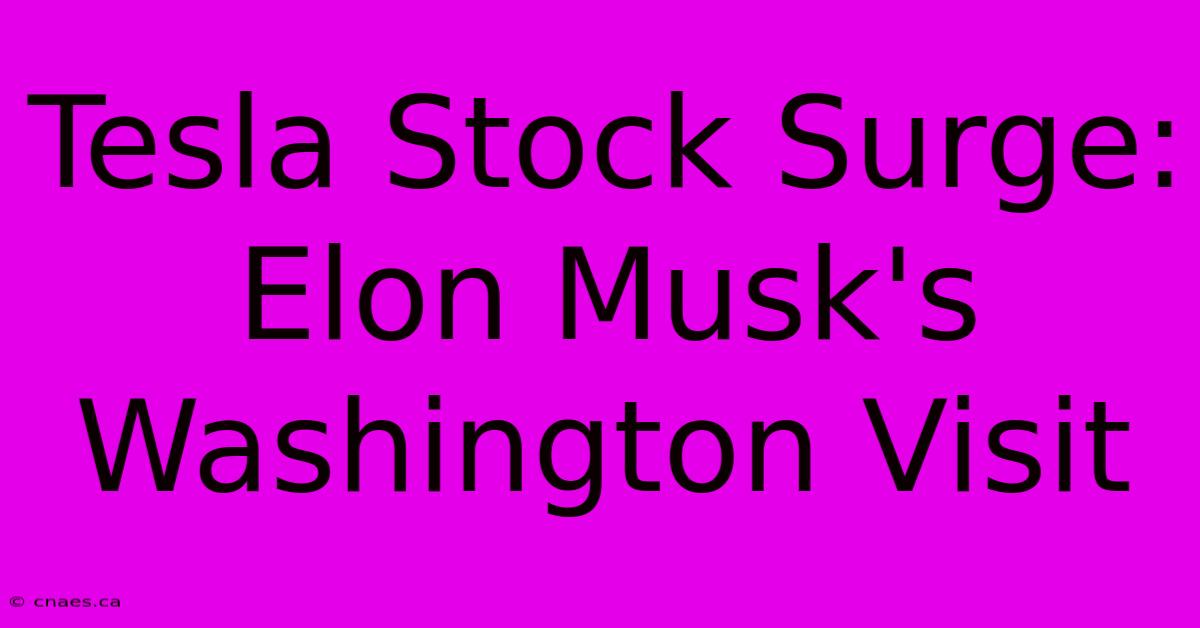 Tesla Stock Surge: Elon Musk's Washington Visit