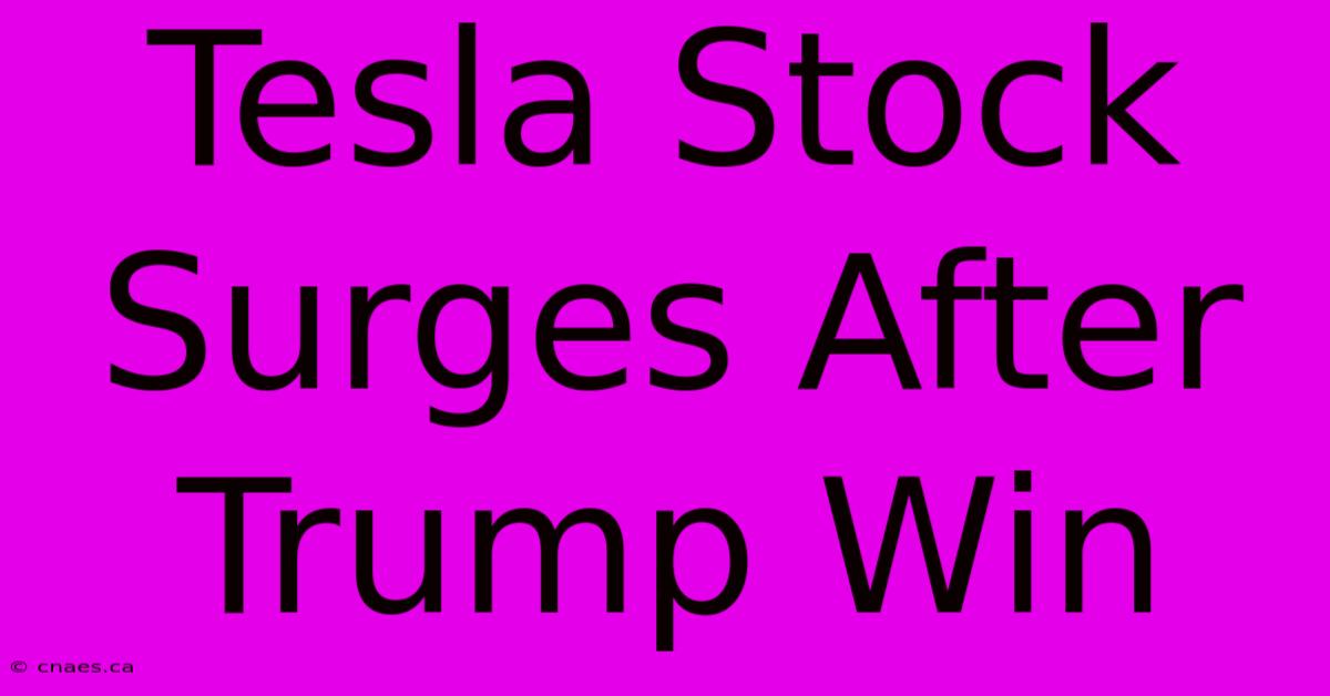 Tesla Stock Surges After Trump Win