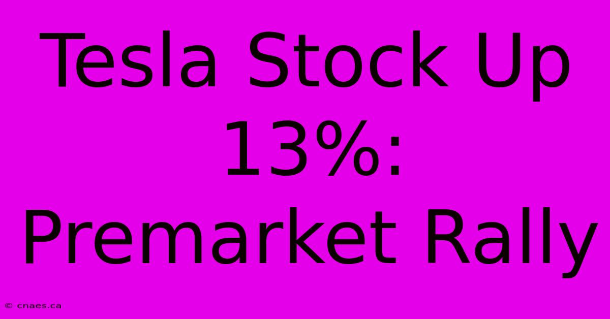 Tesla Stock Up 13%: Premarket Rally  