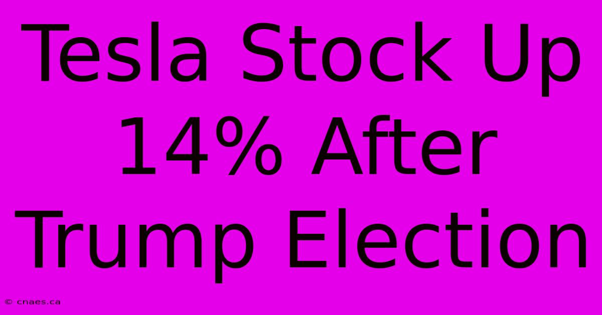 Tesla Stock Up 14% After Trump Election