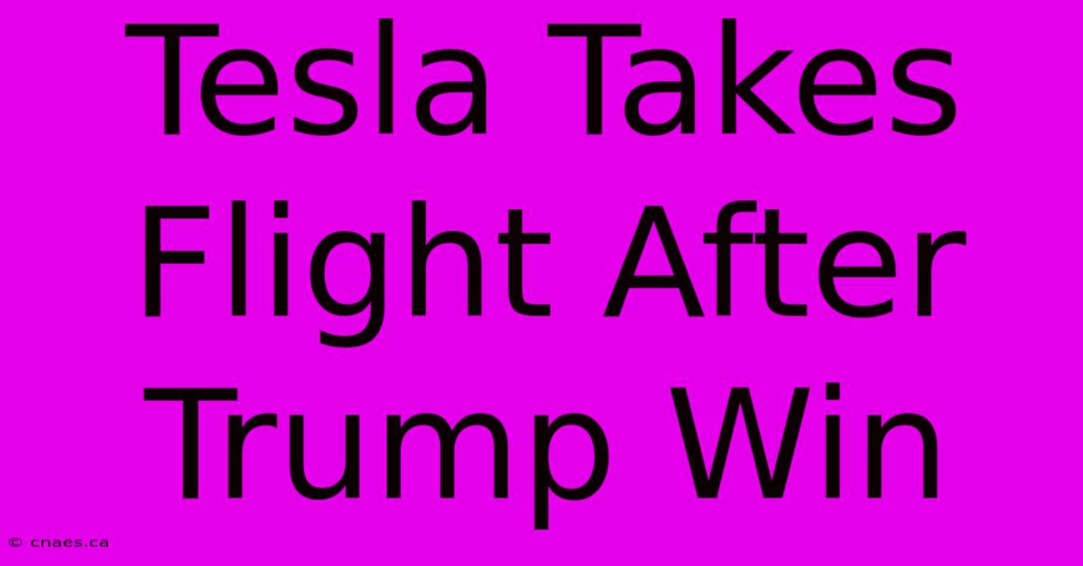 Tesla Takes Flight After Trump Win